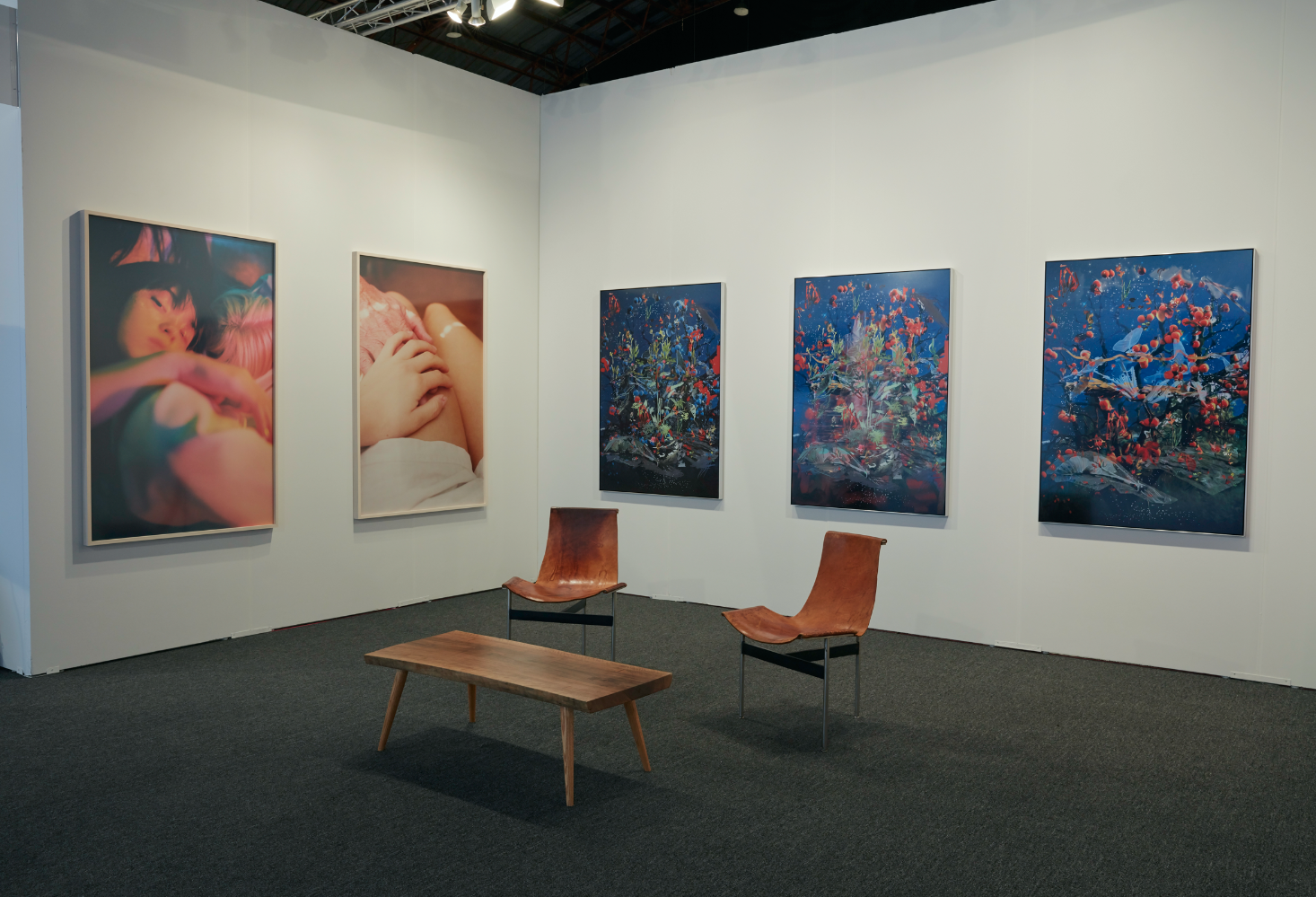 ALAC, LA / January 25 - 29 / Petra Cortright & Petra Collins ALAC, LA / January 25 - 29 / Petra Cortright & Petra Collins